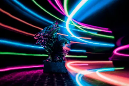 Wolves in coloured lights